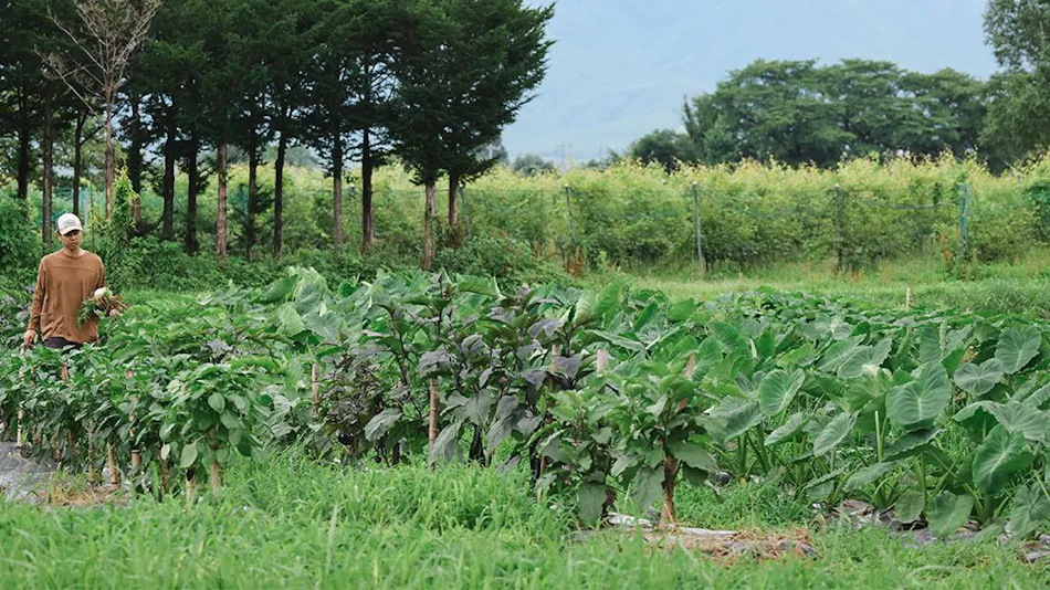 Agriturismo Yutaka