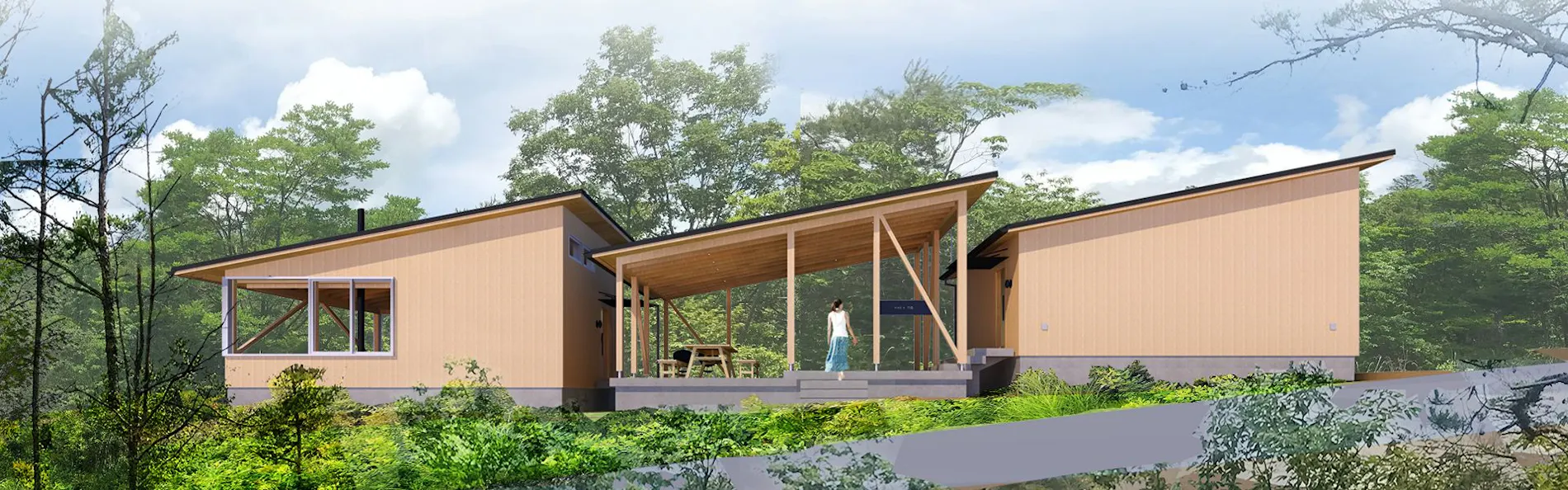 meet tree SOMADO ENAKYO