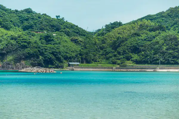 ทัศนียภาพ