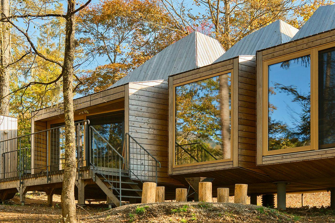 SANU CABIN MOSS