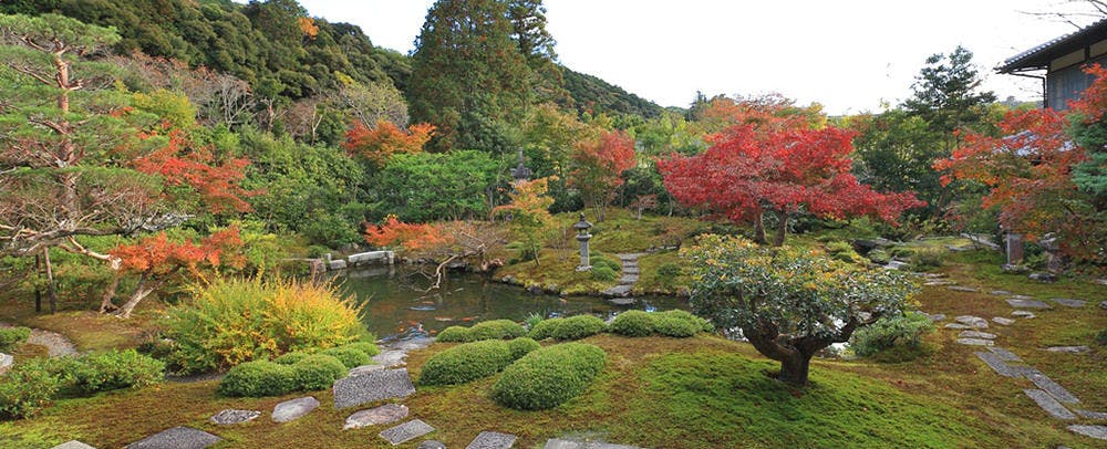 非公開寺院、光雲寺