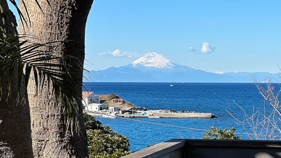 Monterey House by SANA