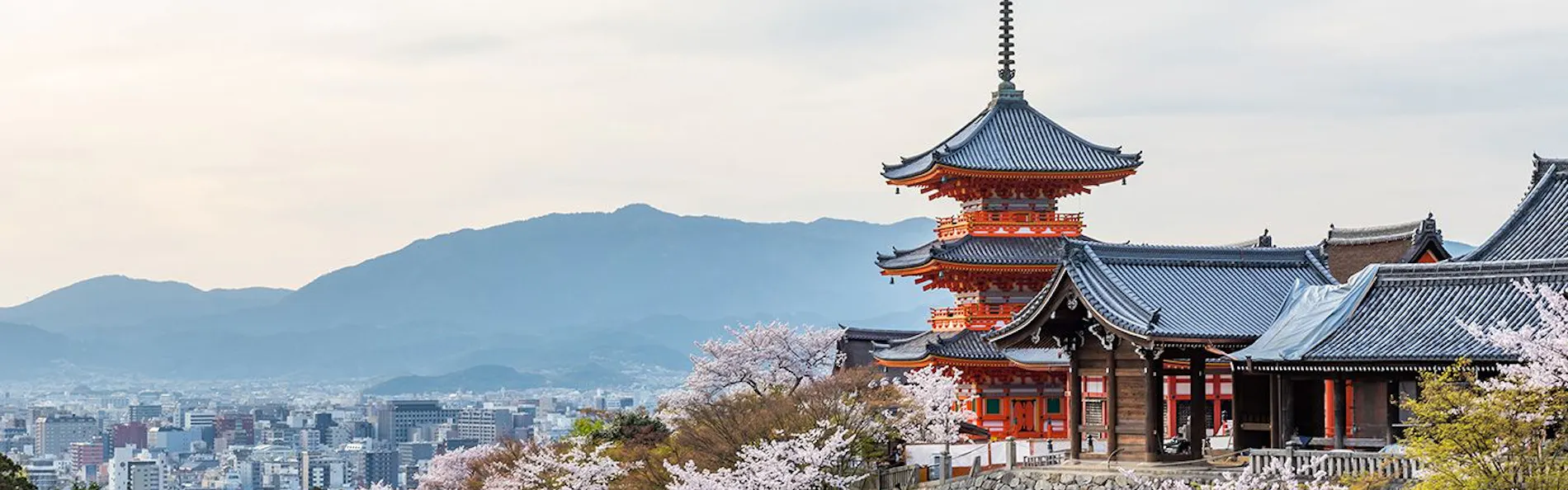 有済はとば庵 〈一棟貸し町家〉