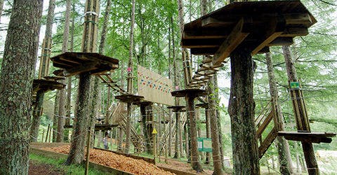 フォレストアドベンチャー・蓼科