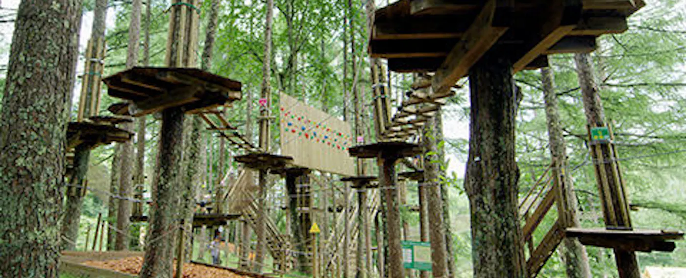 フォレストアドベンチャー・蓼科