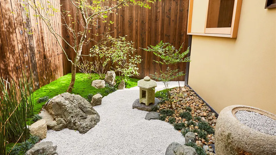 Rinn Kujo Fujinoki West