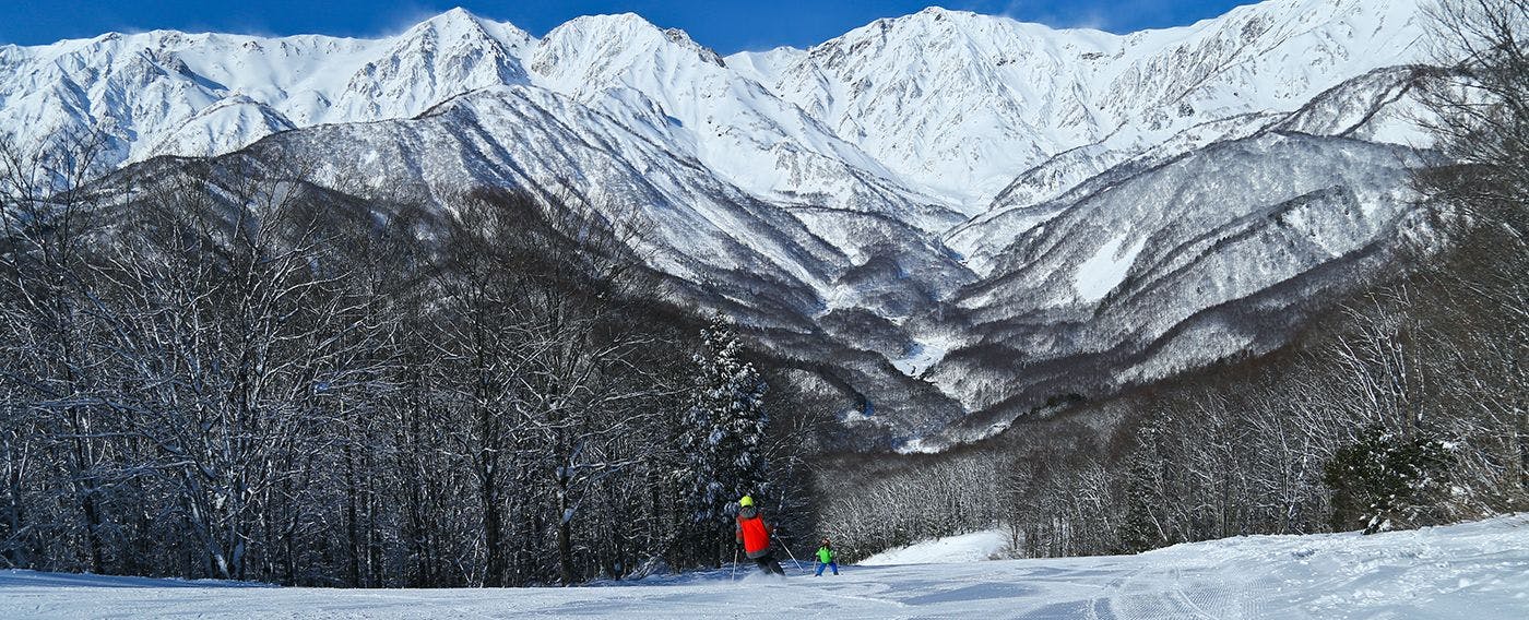 Square 8（旧：HAKUBA Funny hours）
