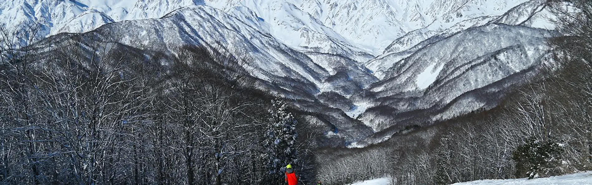 Square 8(旧:HAKUBA Funny hours)