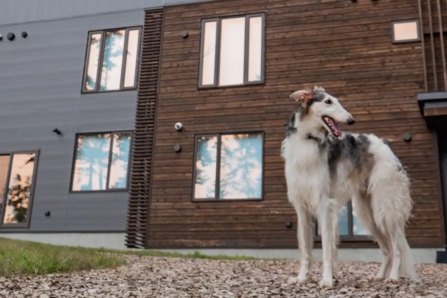 รูปลักษณ์ภายนอก