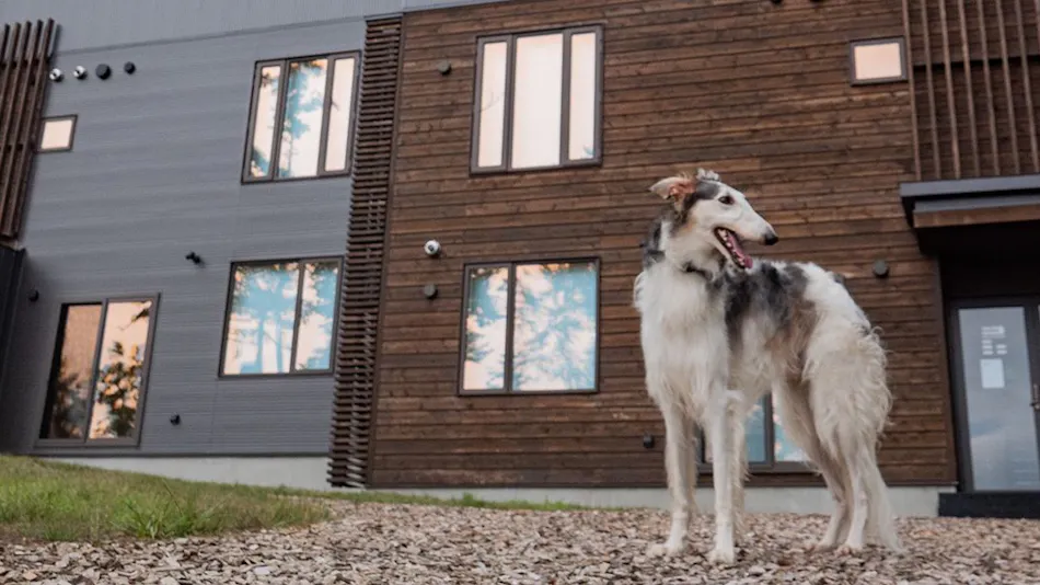 Snow Dog Village