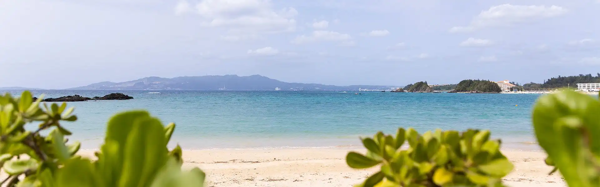 景色