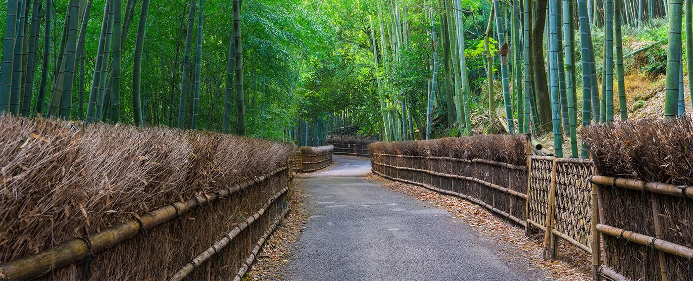 บริเวณโดยรอบ