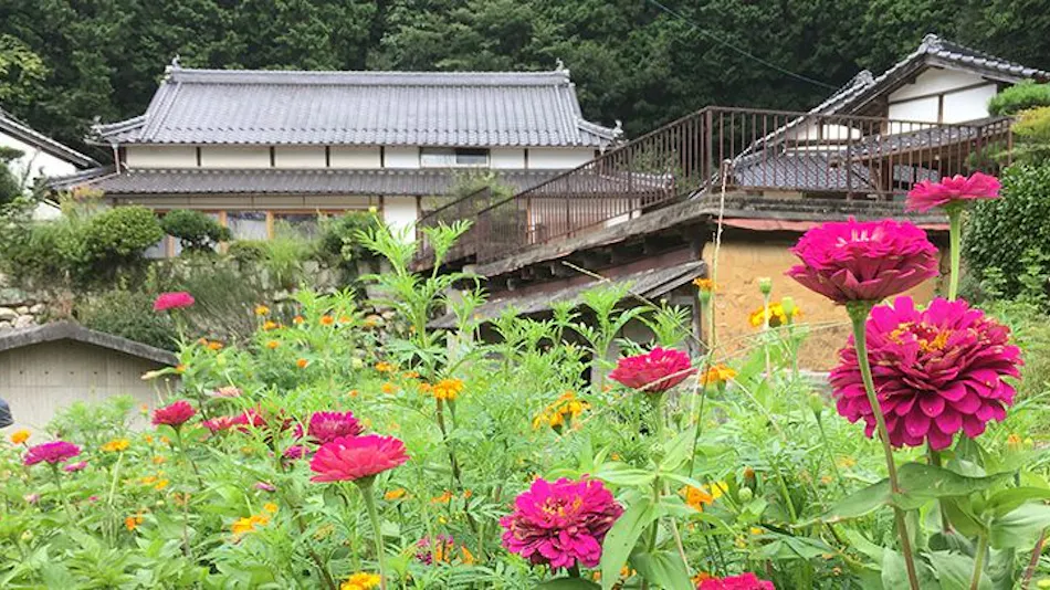 Casa KitsuneAna: Experience Satoyama in a 100-Year-Old Japanese Modern Farmhouse
