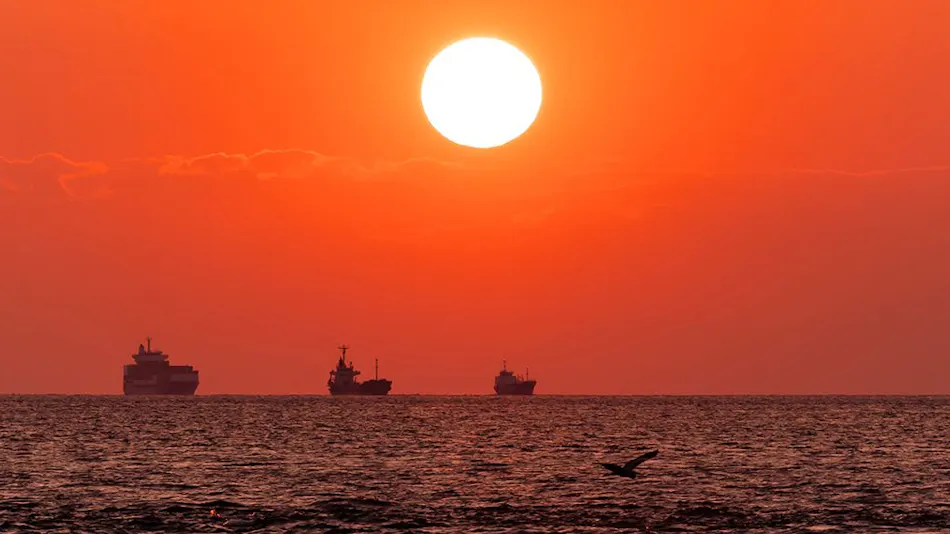 SUNSET DOG VILLAGE Awaji Island
