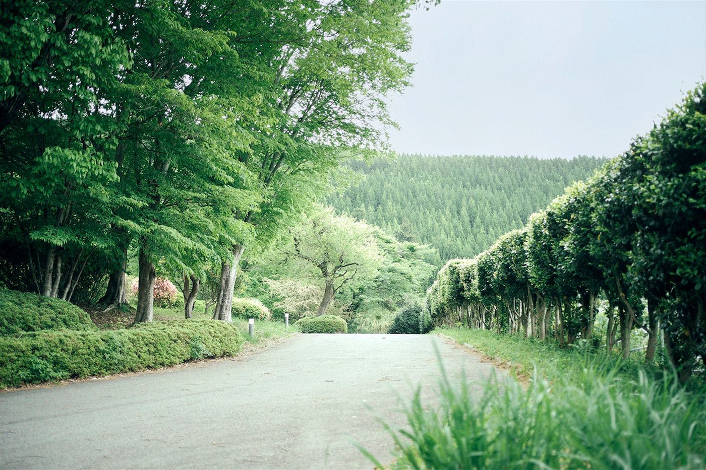 The RURA