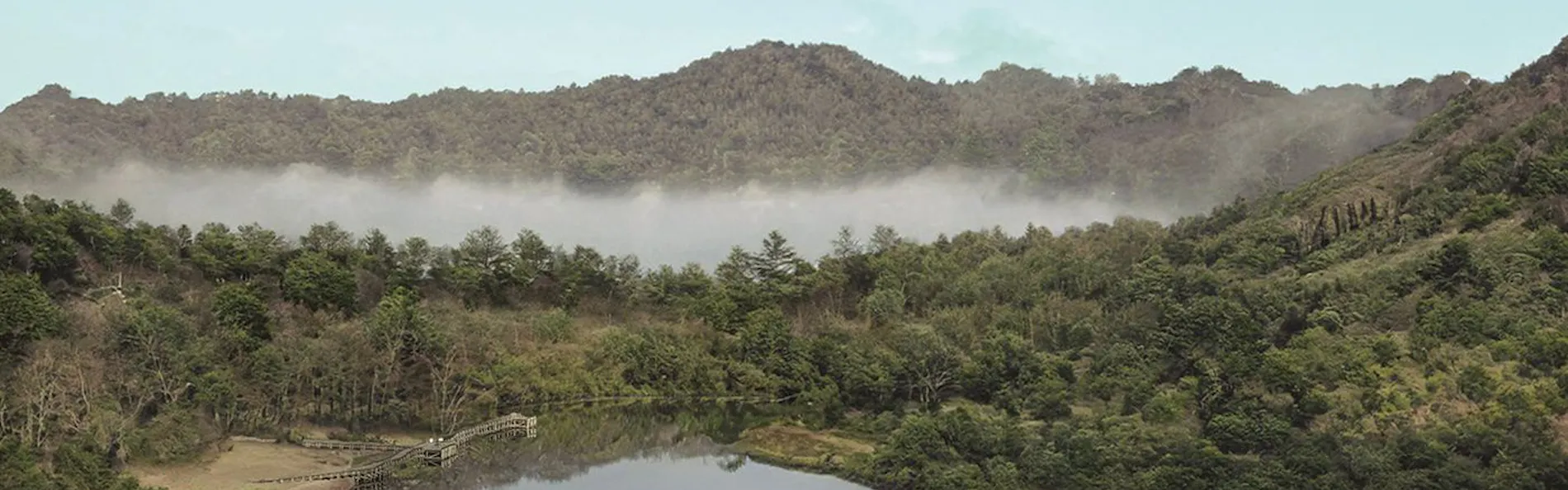The RURA