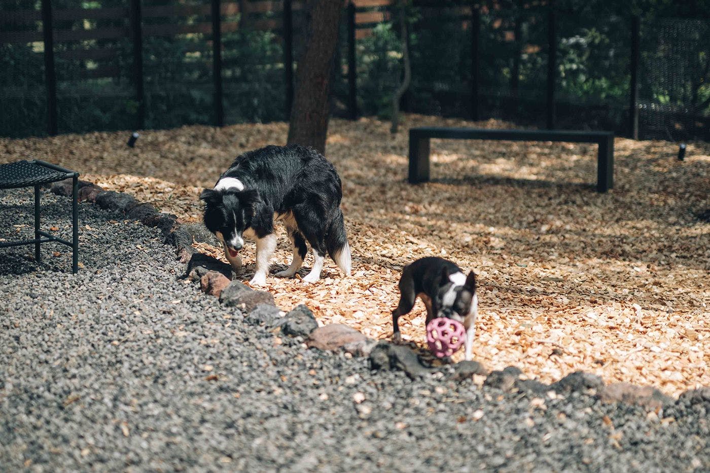 ลานวิ่งเล่นสำหรับสุนัข