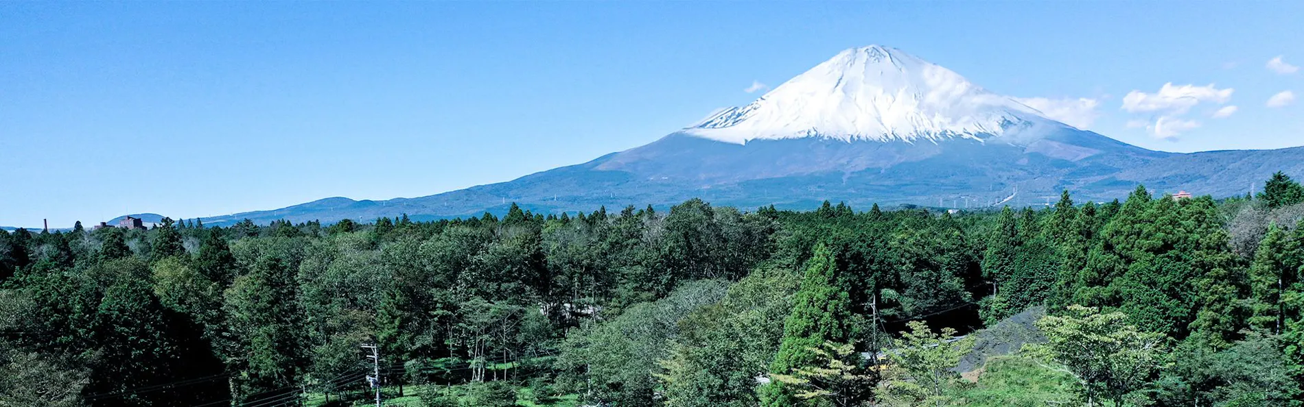 高嶺の森のコテージ