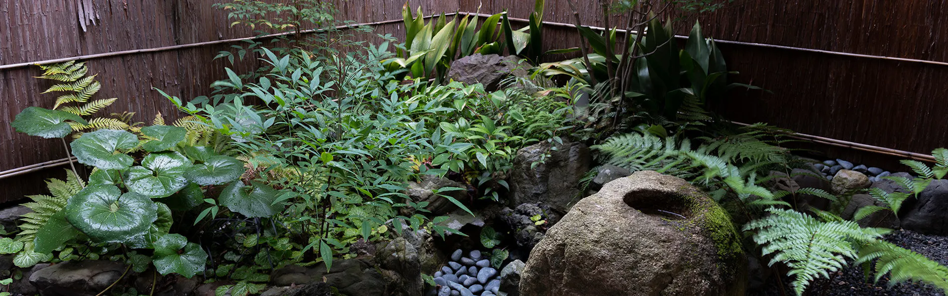 愛犬と泊まれる京町家一棟貸し 洛龍菴 壬生どうだん・もみじ