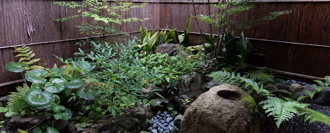 Kyomachiya Whole House Rental Allowing Pets - Rakuryuan Mibu Doudan & Momiji