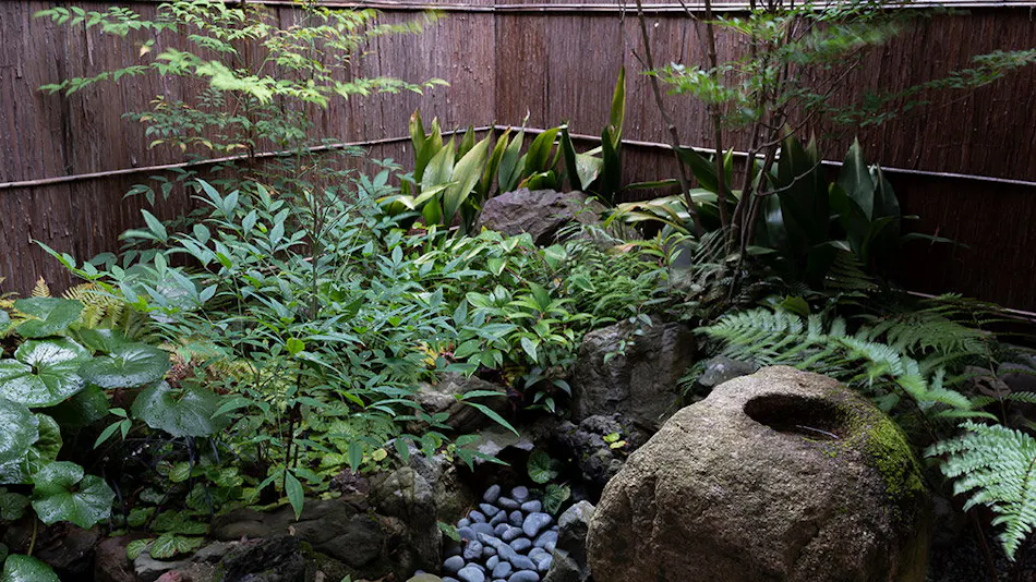 Kyomachiya Whole House Rental Allowing Pets - Rakuryuan Mibu Doudan & Momiji
