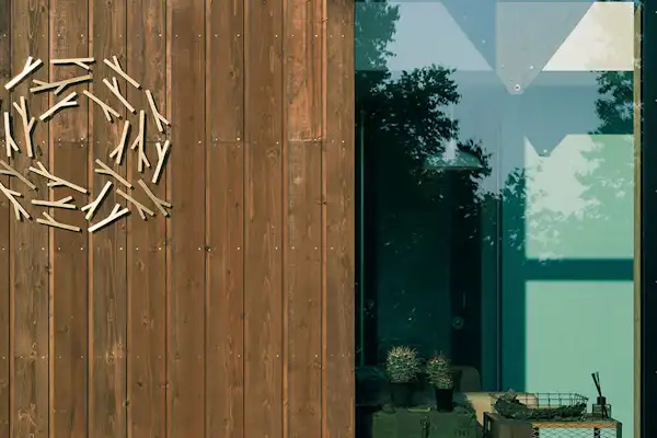 รูปลักษณ์ภายนอก