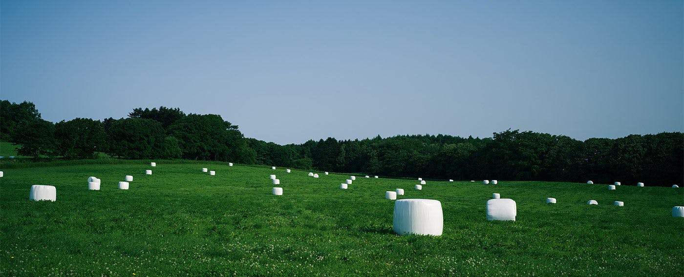 ทิวทัศน์