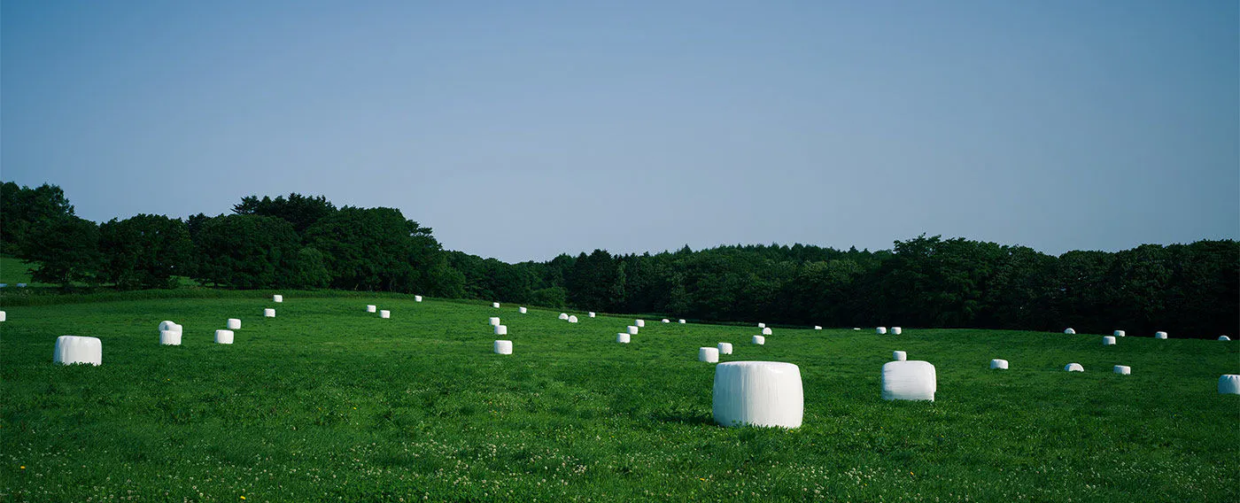 ทิวทัศน์