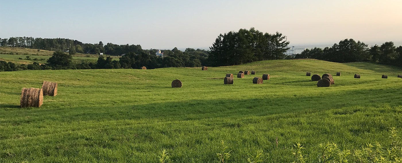 ทิวทัศน์