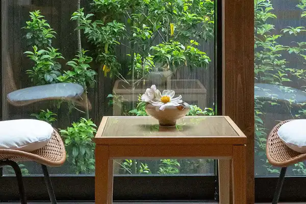 ทางเข้า