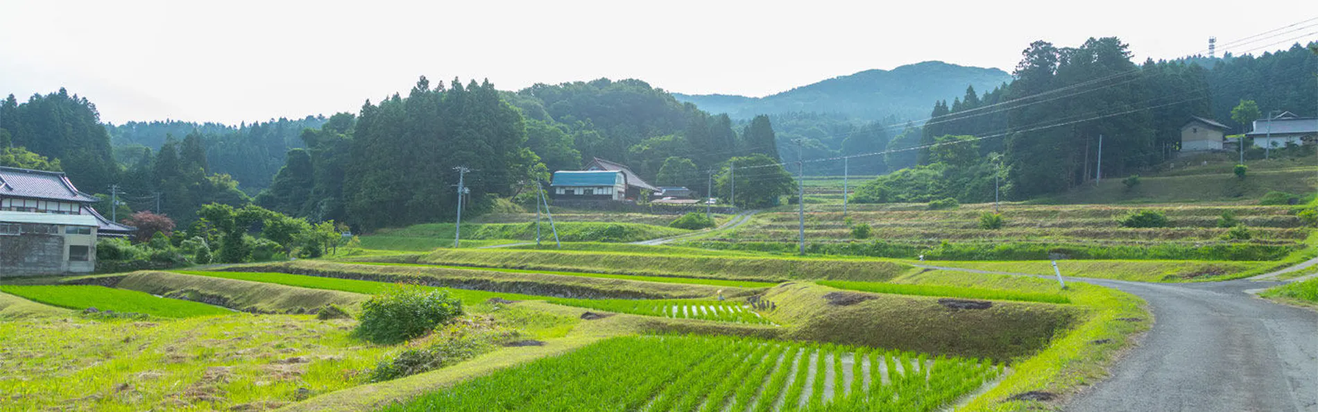 平泉倶楽部~FARM&RESORT~