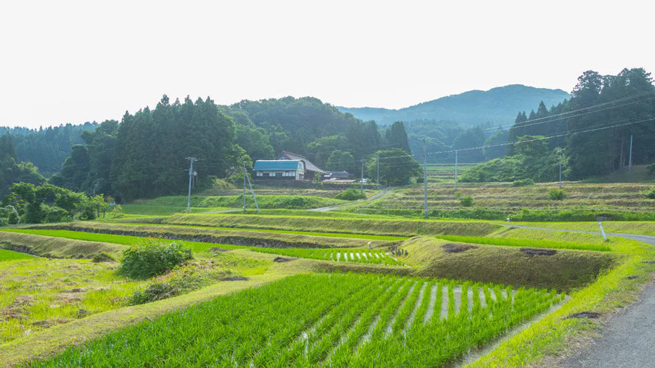 Hiraizumi Club ~FARM & RESORT~