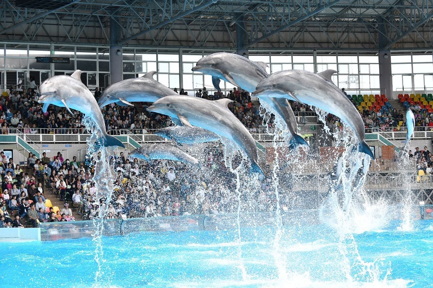 クリスタルヴィラ白浜