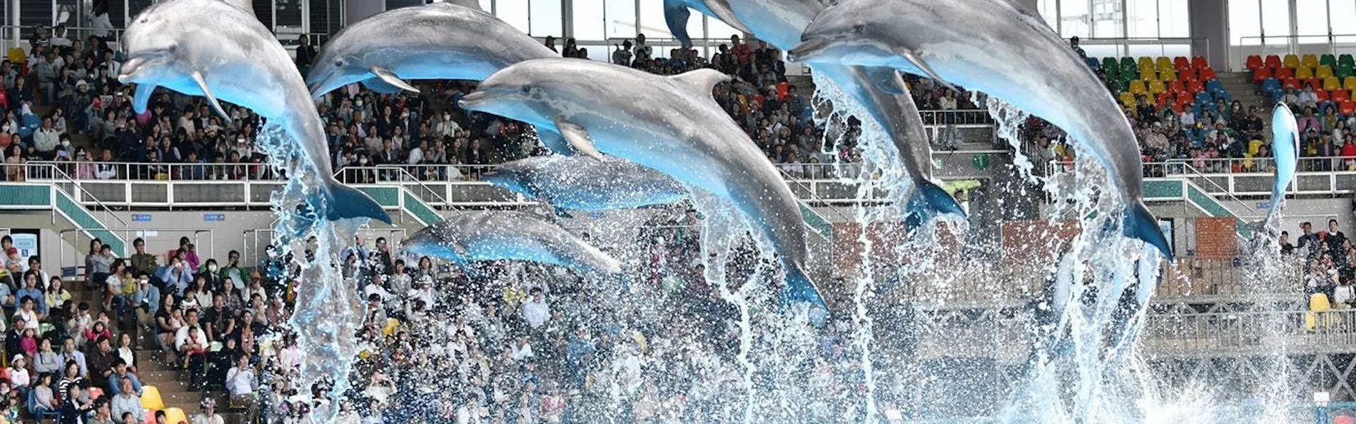 クリスタルヴィラ白浜