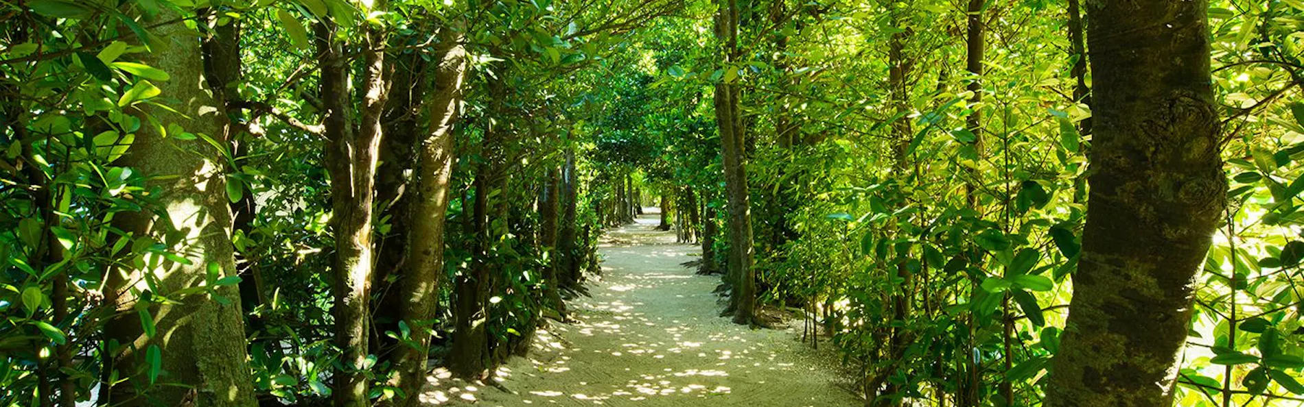 Secret Pool Villa SEJI