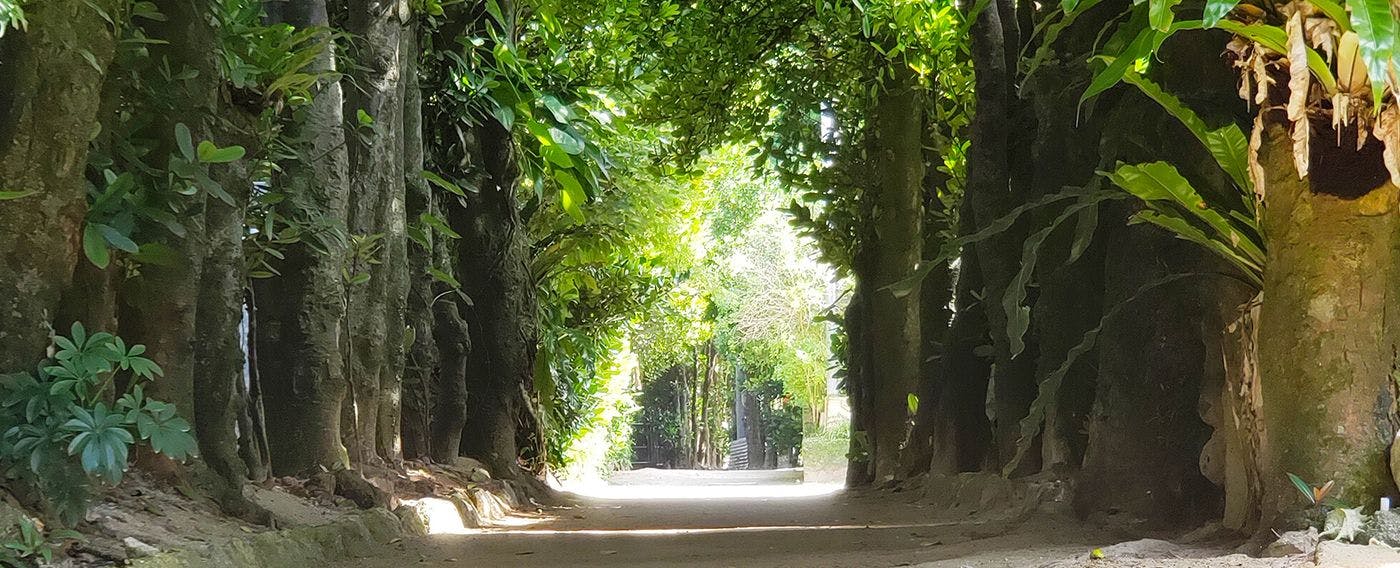 琉球王朝から現代への贈り物