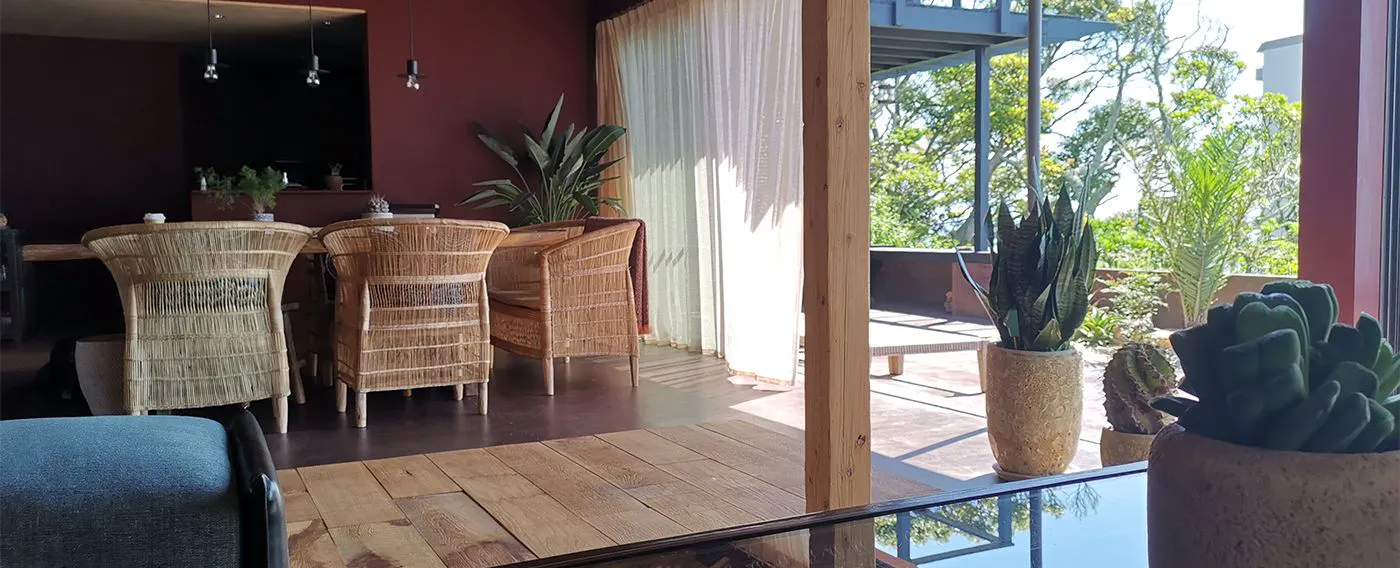 空間を彩る植物たち