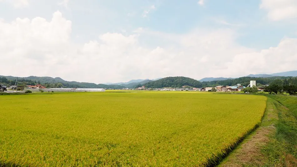 Setouchi Kominka Stays Hiroshima Kozako Mori