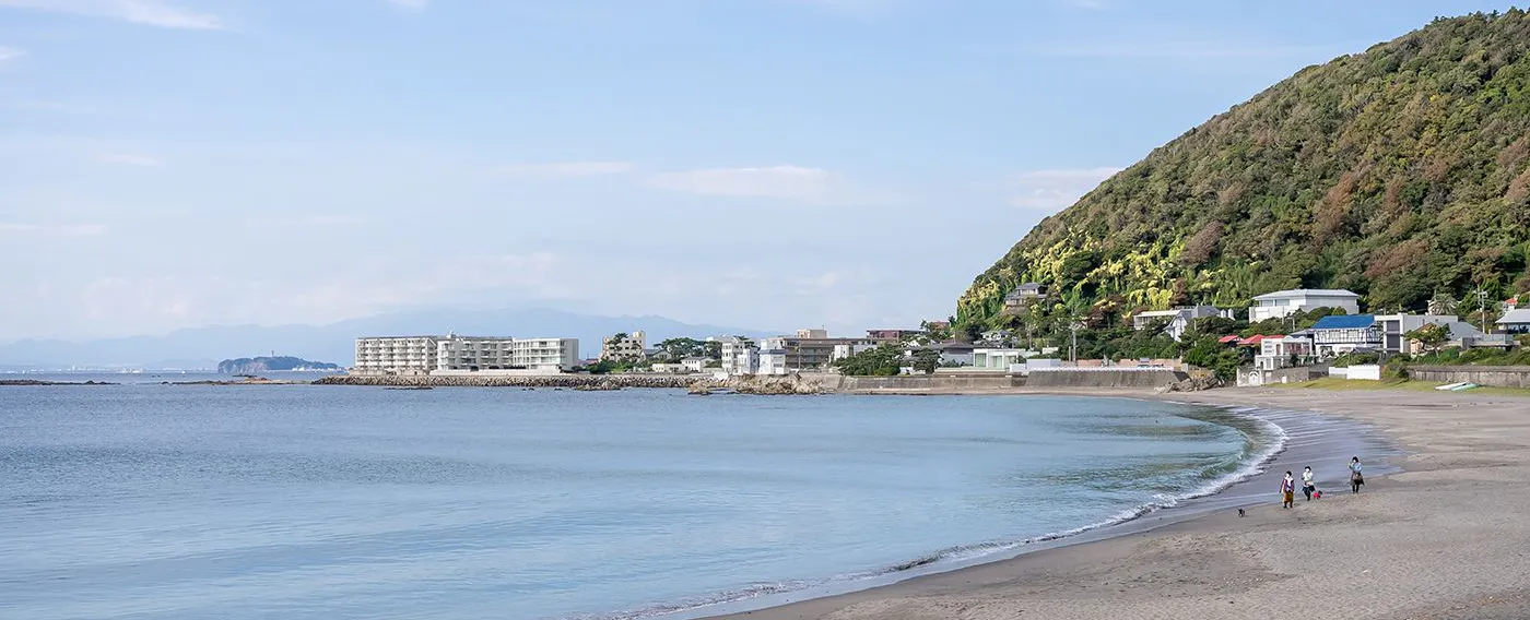 海