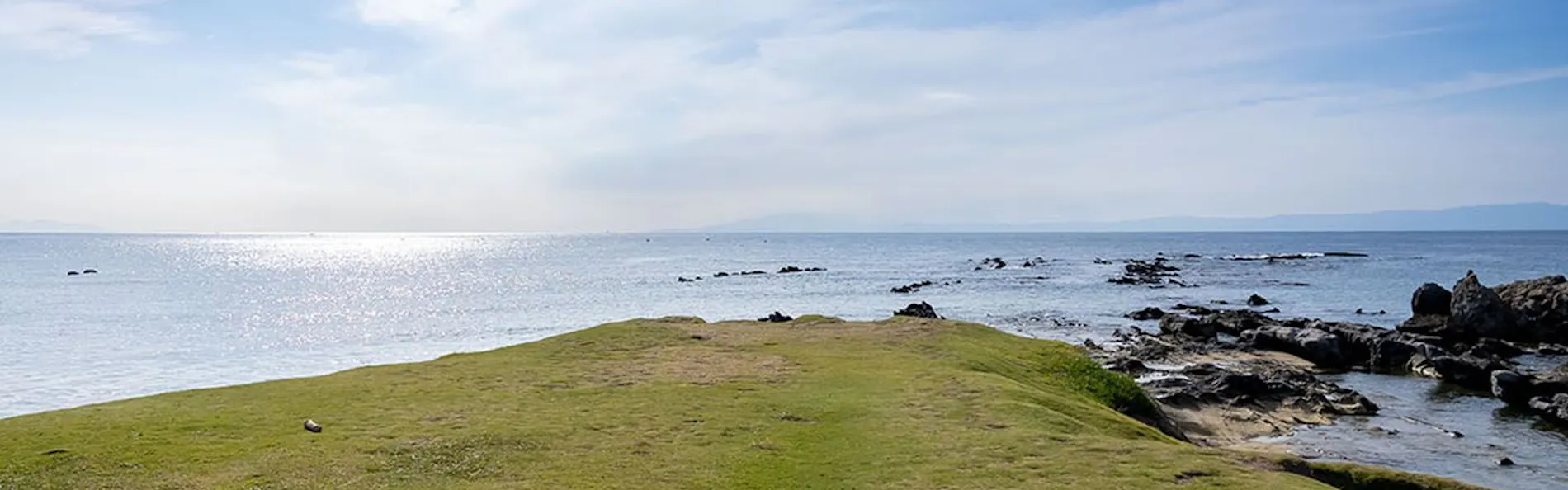 Nowhere but Hayama