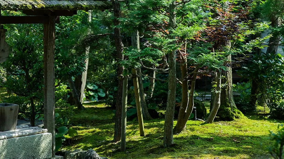 NIPPONIA Gokasho: Town of Omi Merchants