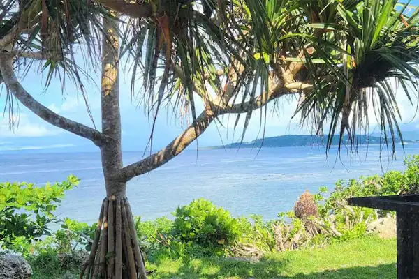 ตัวอย่างภาพถ่าย