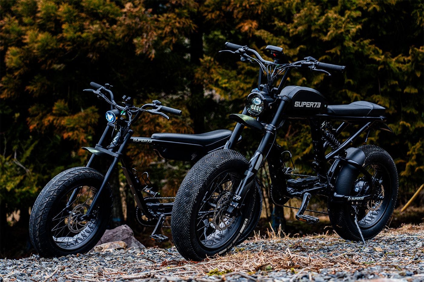 アクティビティ