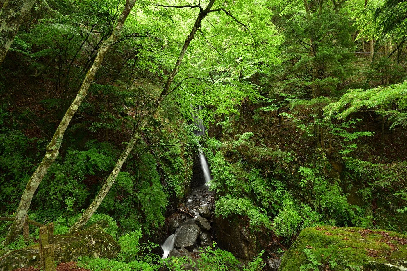 アクティビティ