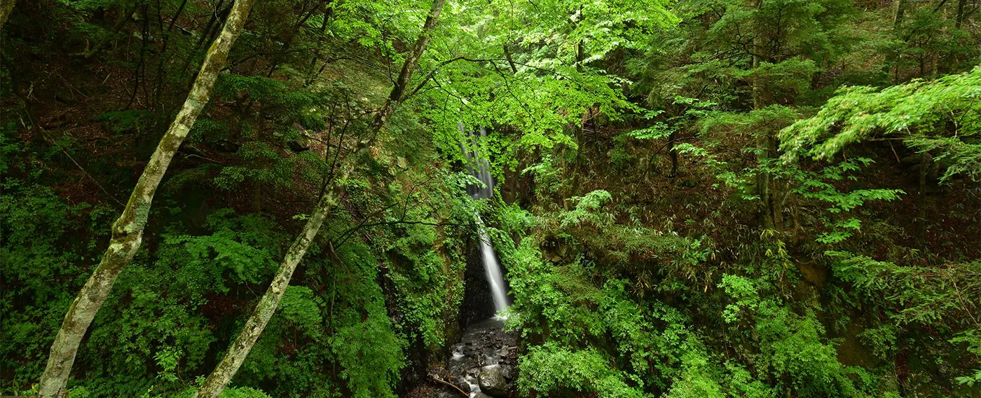 アクティビティ