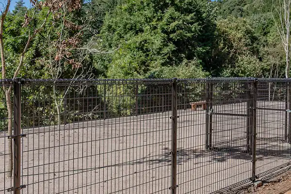 สวนสุนัข