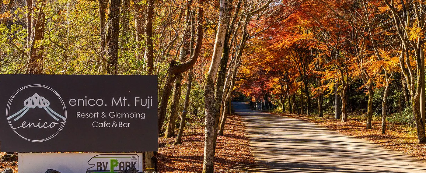 ตัวอย่างแกลมปิ้ง