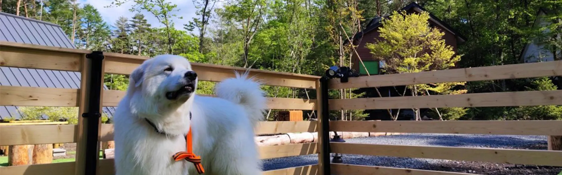 enico.Mt.Fuji Resort & Glamping