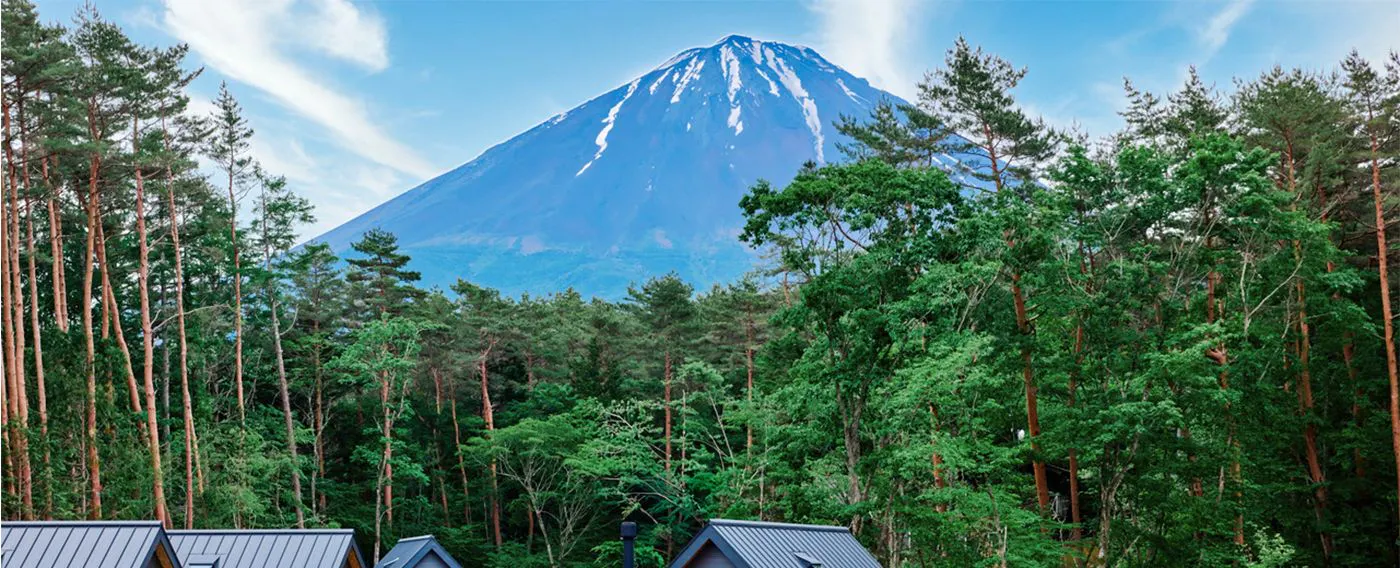 ตัวอย่างแกลมปิ้ง