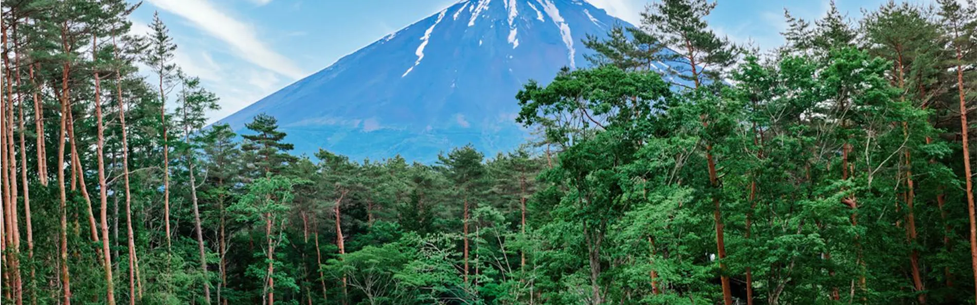 enico.Mt.Fuji Resort & Glamping